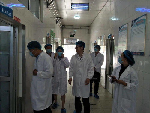 食品安全 学校餐饮服务食品安全等级获评a级 济南旅游学校食品安全顺利通过市级专项检查