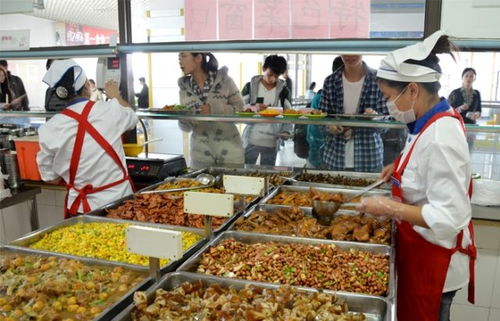 饭堂承包报价 厂家