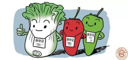 福建省食品安全信息追溯管理办法 3月1日实施,这些内容要注意......
