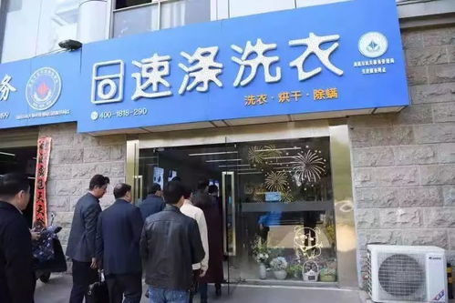 我们的2019